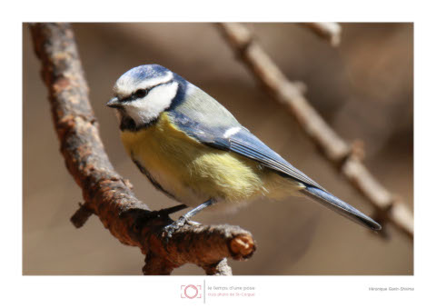 Photographie Urbaine